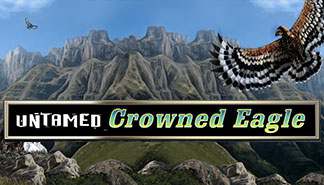Untamed Crowned Eagle spilleautomater Microgaming  himmelspill.com