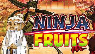 Ninja Fruits spilleautomater PlaynGo  himmelspill.com