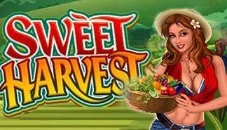 Sweet Harvest spilleautomater Microgaming  himmelspill.com