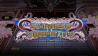 Siamese Serpents spilleautomater Yggdrasil  himmelspill.com