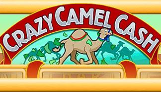 Crazy Camel Cash spilleautomater Rival  himmelspill.com
