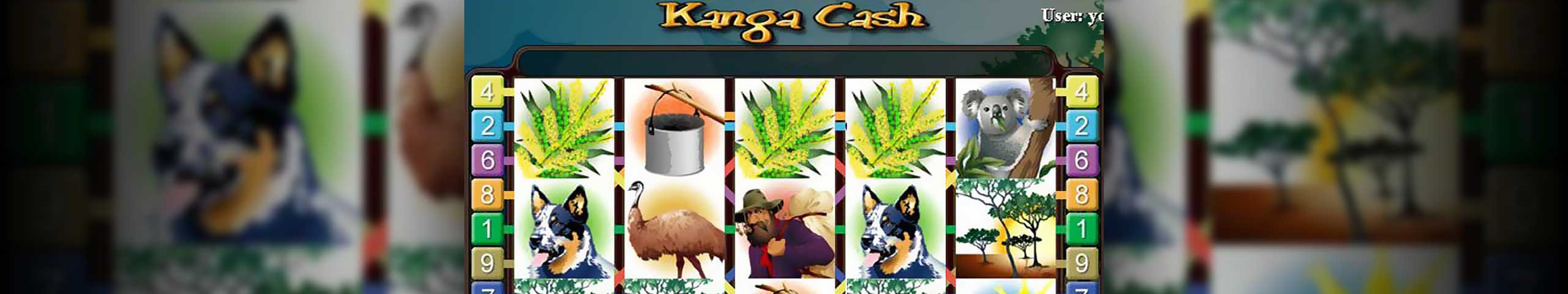 Kanga Cash