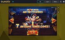 dunder_Dunder-Casino---Games---Snow-Wild-and-the-7-Features-himmelspill.com